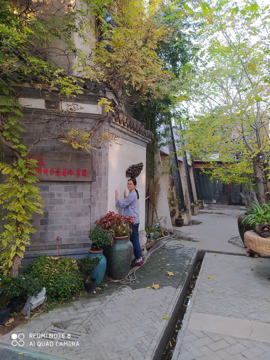 西青紫园小清新