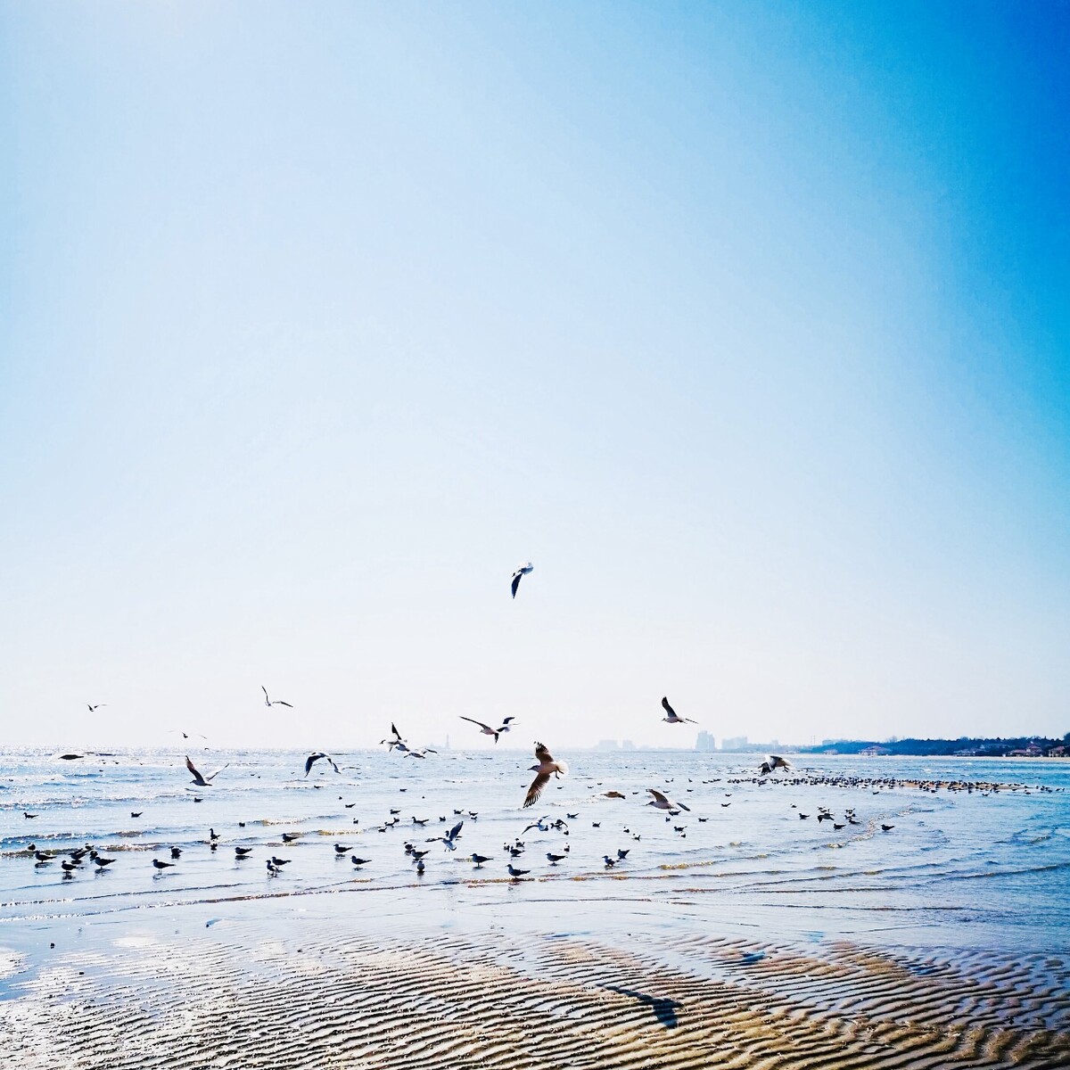 秦皇岛浅水湾