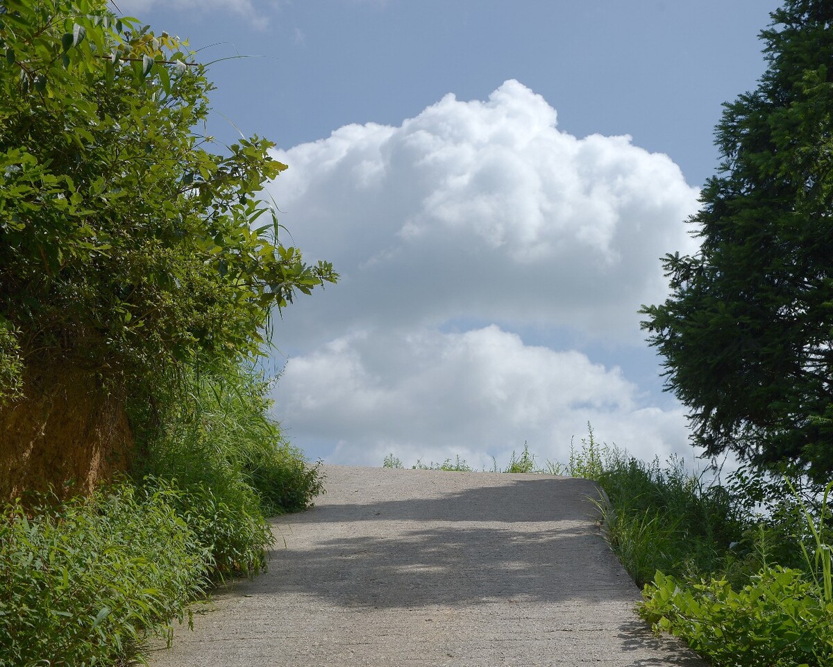 2019年7月 贵州安顺 上山的路
