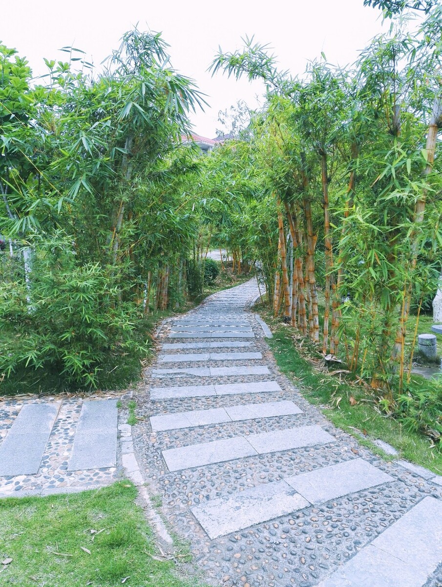 一草一木一世界