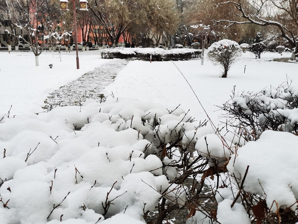 新疆乌鲁木齐雪景如画2020年12月12日连续几日的降雪乌鲁木齐市到处