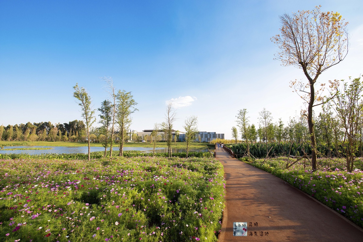 海东湿地公园2+宝珠寺夜景