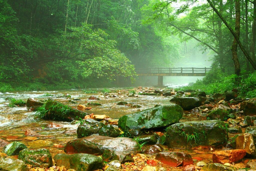 > 雨天过天晴,但是溪边依然留有一些雾气,颇有一些仙剑画面的韵味