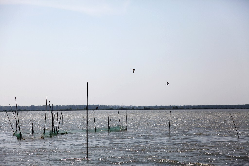 往西5公里便是湖北的第三大湖泊——长湖,横跨荆州,荆门,潜江三地