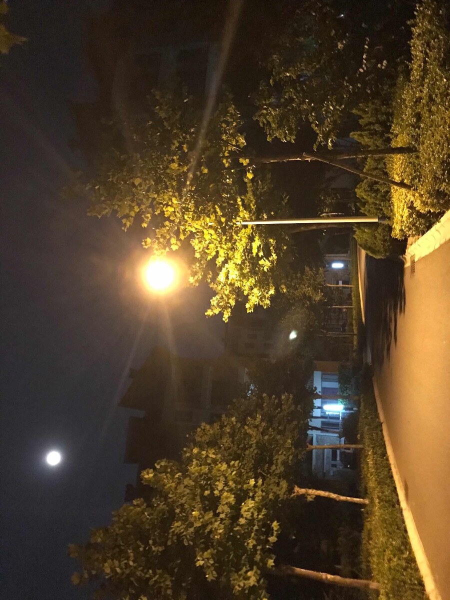 美丽夜色,美好心情
