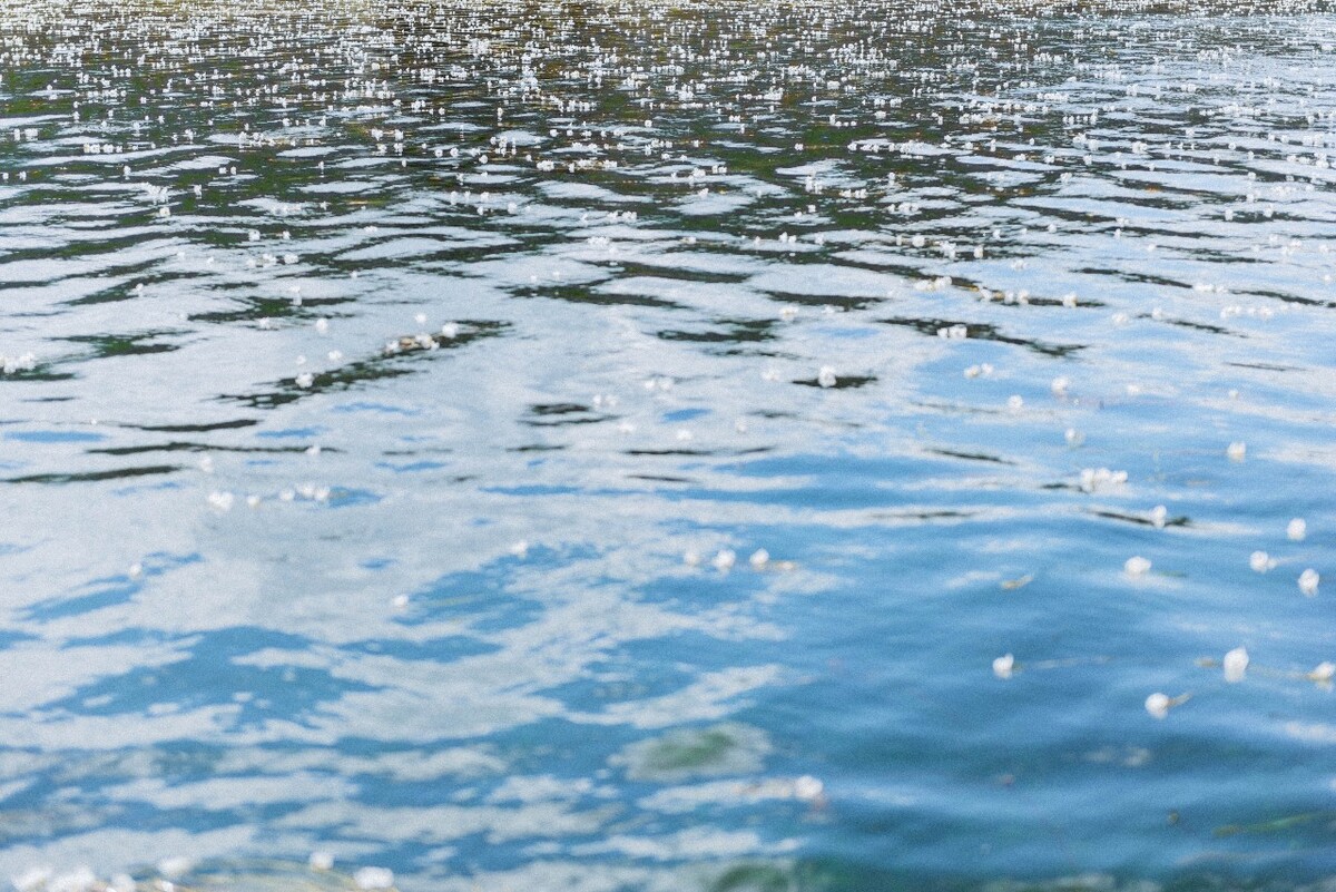 泸沽湖—— 水性杨花.