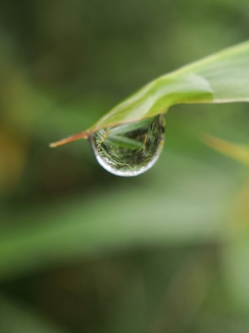 水滴