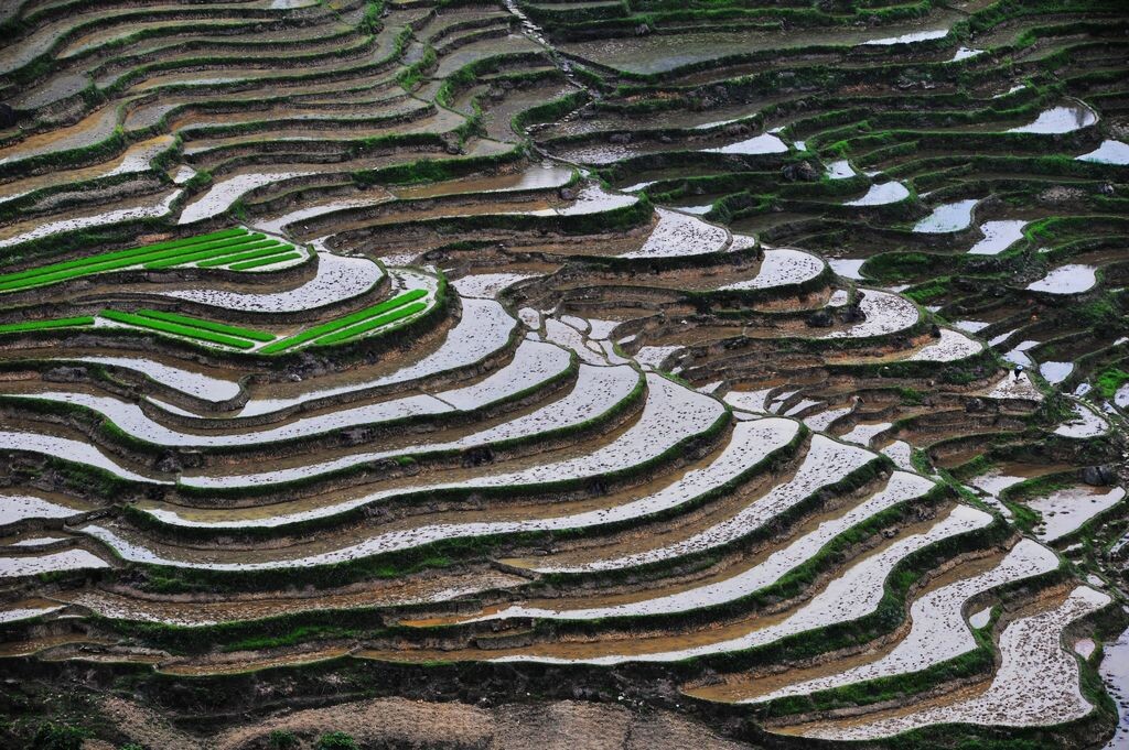 梯田