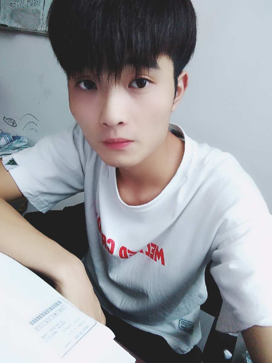 椒盐色雪纳瑞幼犬囹a