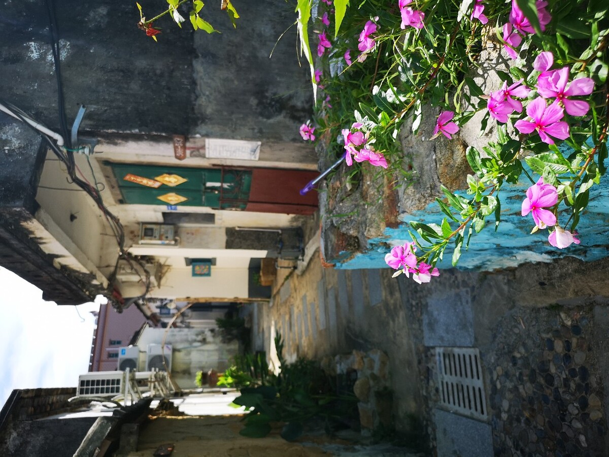 深圳 鹤薮古村