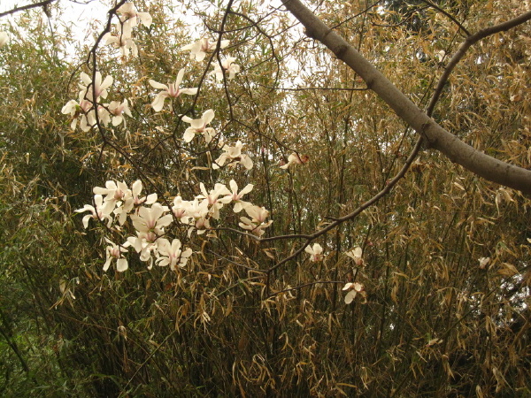 求演讲稿配乐,秋风,送来收获的呼唤,也诠释着丰