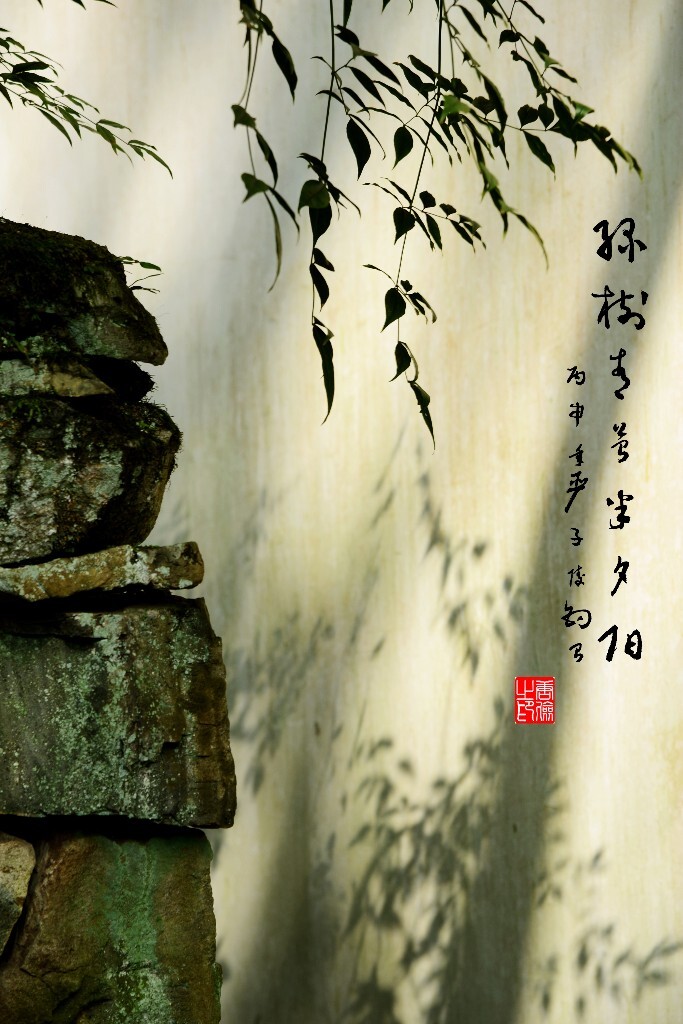 绿树青苔半夕阳