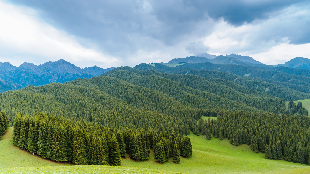 新疆乌鲁木齐南山鹰沟