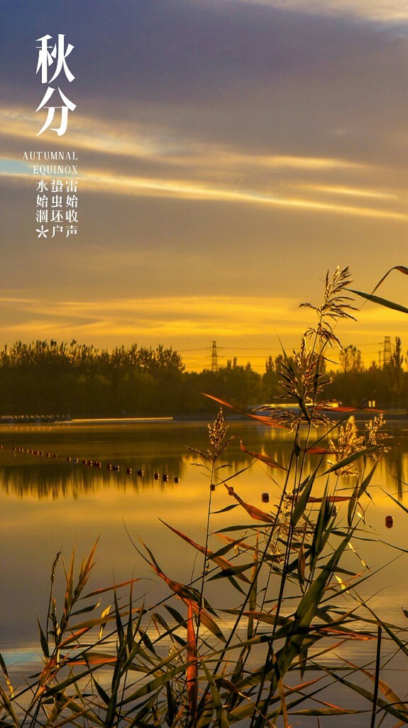 秋分