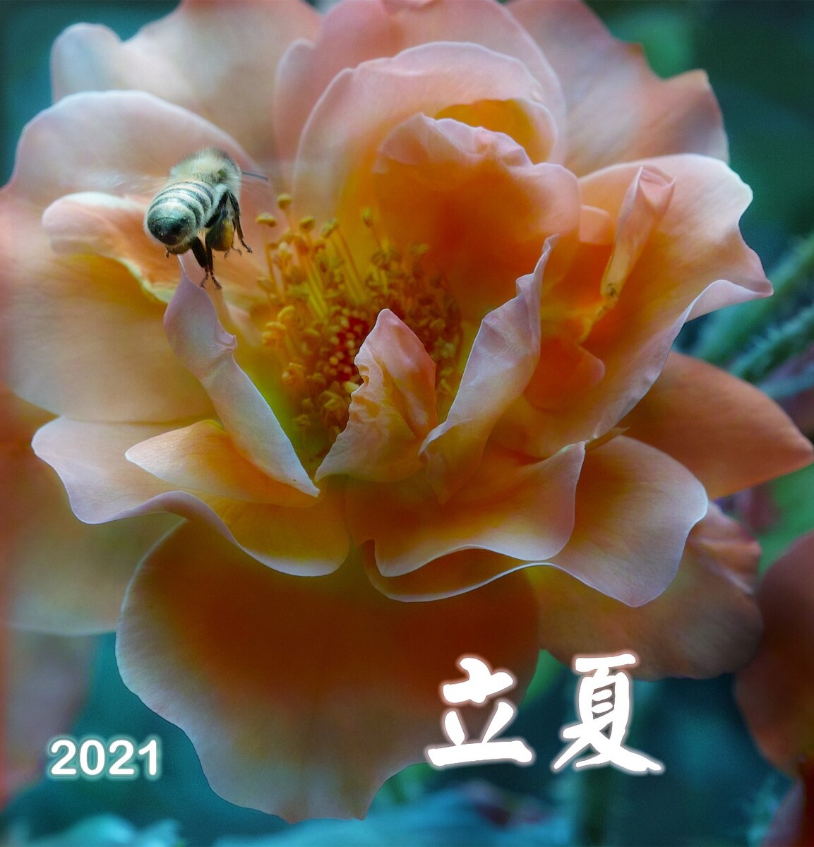 2021年5月5日,北京,今日立夏.