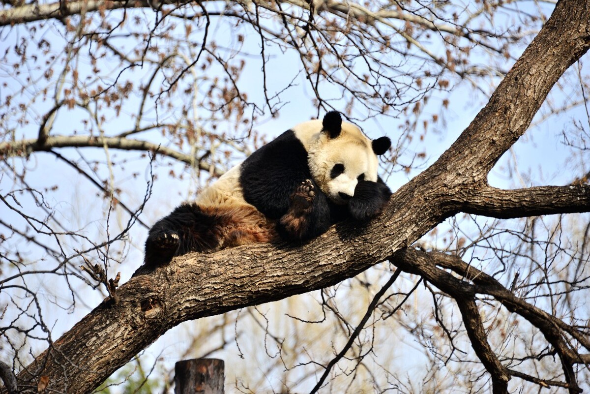 西塘古风 br /> 撑船人给西塘增添了一份古朴