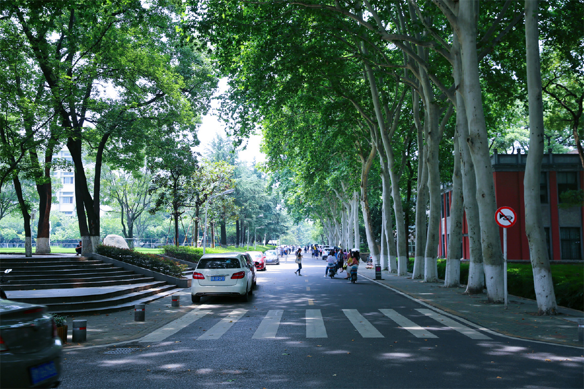 华中师范大学11