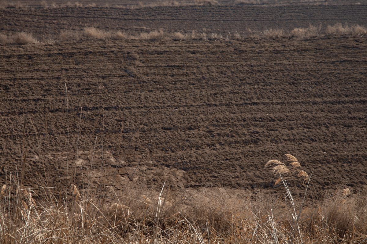 故乡芬芳的泥土