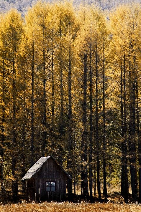 С br / ӱ,ɫҶһСľ.