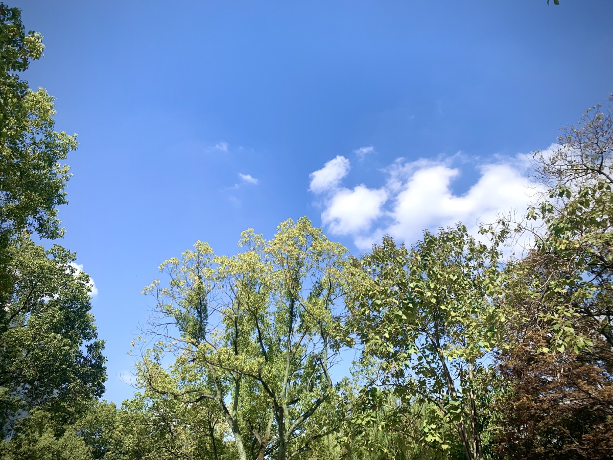 蓝天白云晴空万里