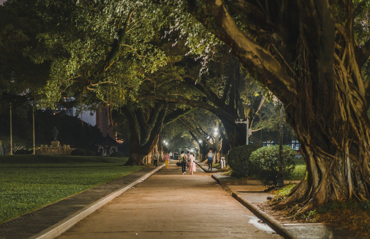 中山大学夜