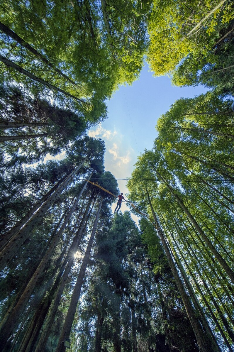 重庆武陵山国家森林公园消夏风景