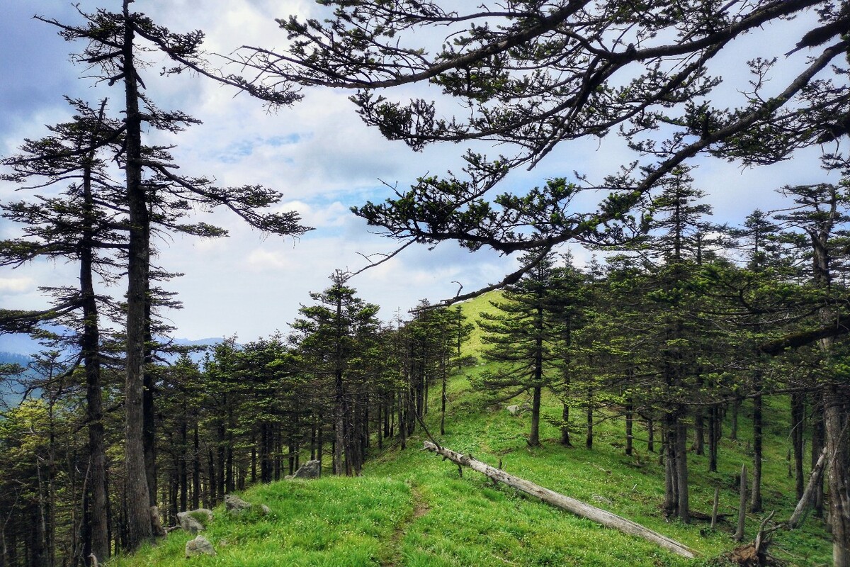 秦岭天华山,四处空无一人.