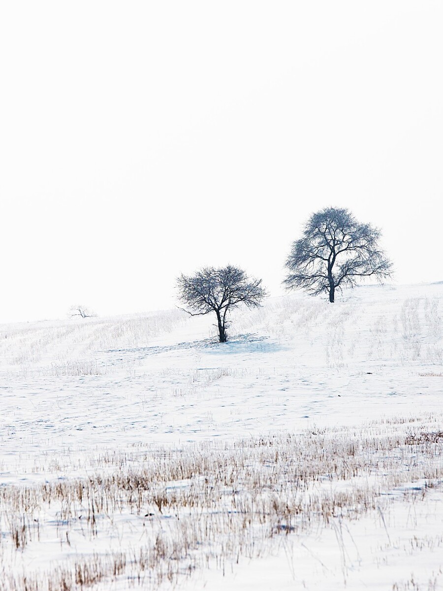 塞外雪景