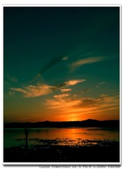 IMG_3123_
