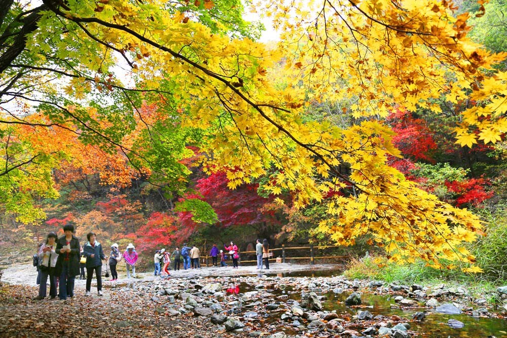 本溪关门山是国家级旅游区，每到秋季漫山遍野五彩缤纷，游人不断。