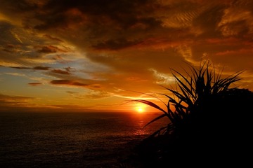 DSCF6580-1
