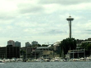 Picture 453_