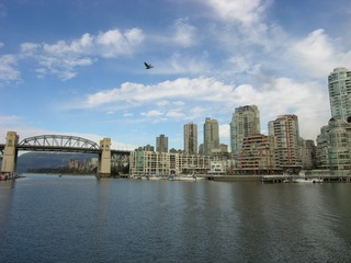 Picture 029