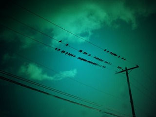 DSCN4621_