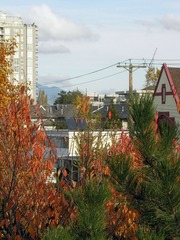 DSCN4417-1