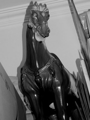 DSCN4944_