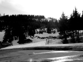Picture 440_