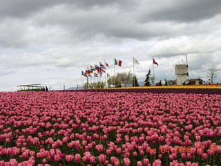 DSCN3667_