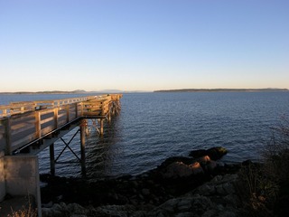 Picture 021__