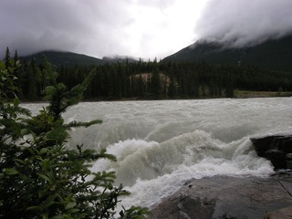 Picture 254_
