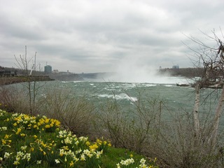 Picture 093
