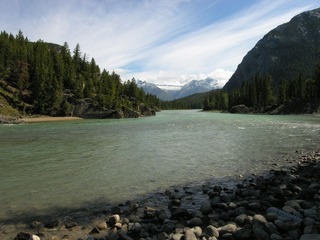 Picture 368_
