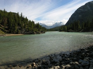 Picture 368__