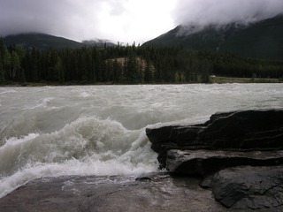 Picture 246_