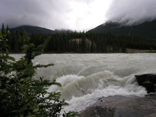 Picture 254_