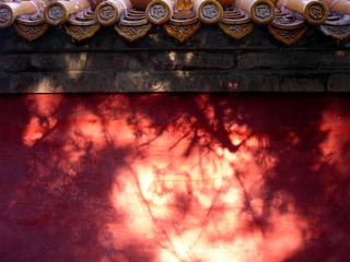 DSCN0169_