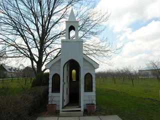 Picture 183_