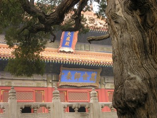 DSCN0240_