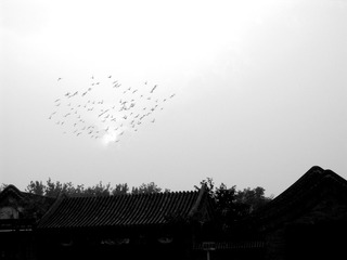 DSCN0286_