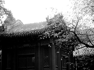 DSCN0272_